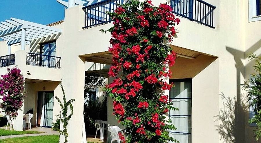 Apartamentos Primasud Punta Prima  Bagian luar foto